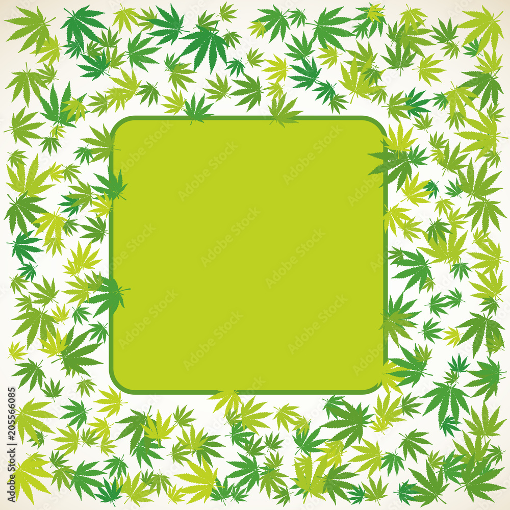 Hand drawn marijuana leaves frame background