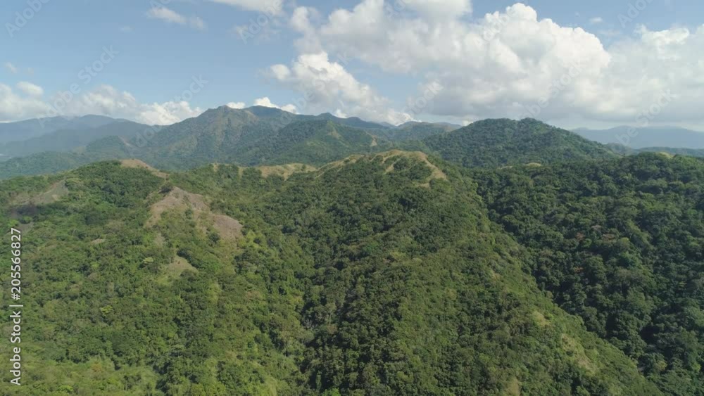 Aerial view of mountains covered with green forest, trees with blue sky. Slopes of mountains with tropical forest. Philippines, ,Luzon. Tropical landscape in Asia. Aerial view of mountains covered with green forest, trees with blue sky. Slopes of mountains with tropical forest. Philippines, ,Luzon. Tropical landscape in Asia.