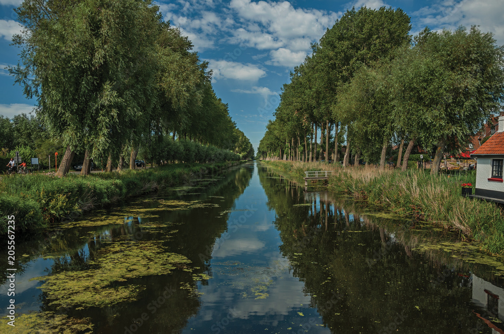 Bushes and grove along canal with sky reflected on water, in the late afternoon and blue sky, near Damme. A quiet and charming countryside old village near Bruges. Northwestern Belgium.