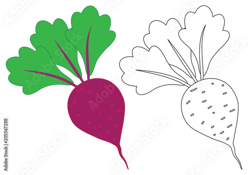 Beet cartoon. Coloring page. Game for children.