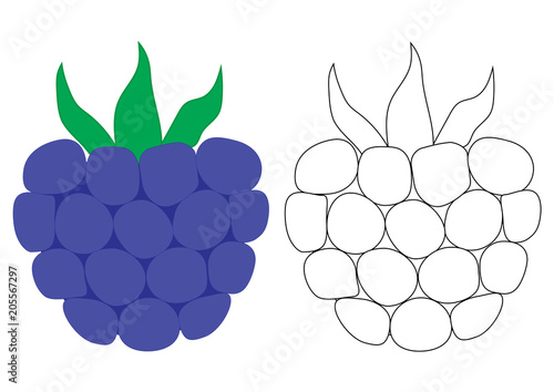 Blackberry cartoon. Coloring page. Game for children.