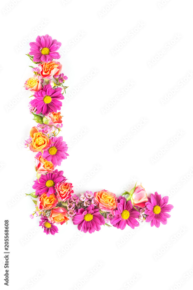 letters and numbers made from live flowers isolated on white background, make text with flowers alphabet, exclusive idea for graphic