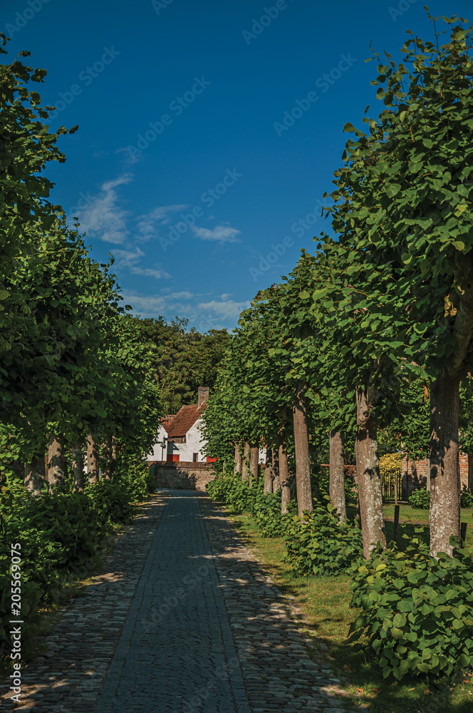 Pathway with trees in garden of medieval church ruins, in the late afternoon light at Damme. A quiet and charming countryside old village near Bruges. Northwestern Belgium.