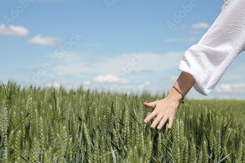 Female farmer hand over wheat field, close up

