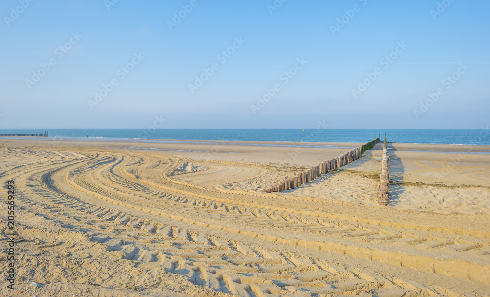 Groyne on a recreational beach in sunlight in spring protecting land from sea Groyne on a recreational beach in sunlight in spring protecting land from sea