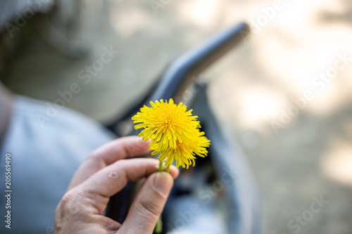 Fototapeta Naklejka Na Ścianę i Meble -  Mann hält Löwenzahn, Pusteblume vor einem Kinderwagen