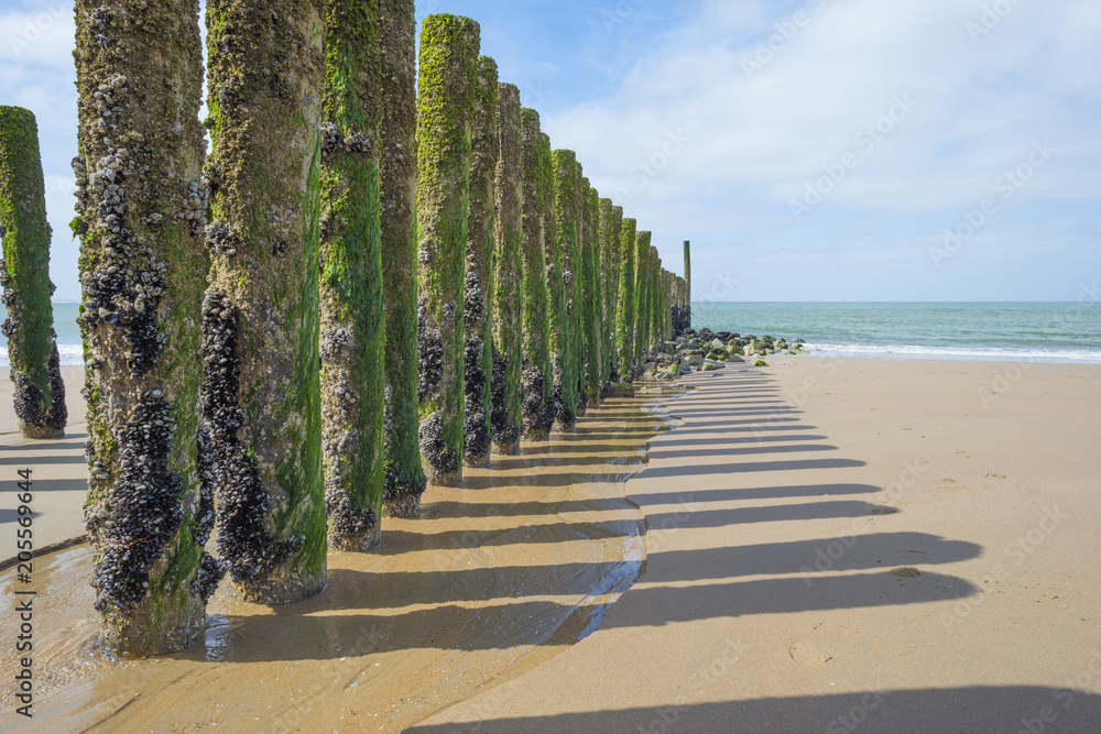 Groyne on a recreational beach in sunlight in spring protecting land from sea