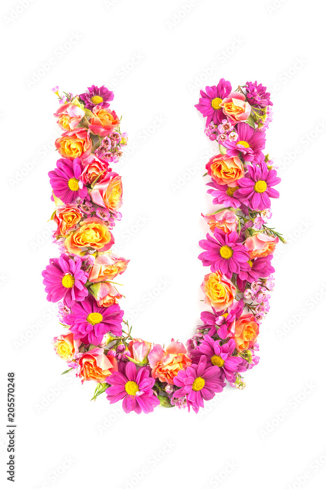 letters and numbers made from live flowers isolated on white background, make text with flowers alphabet, exclusive idea for graphic letters and numbers made from live flowers isolated on white background, make text with flowers alphabet, exclusive idea for graphic