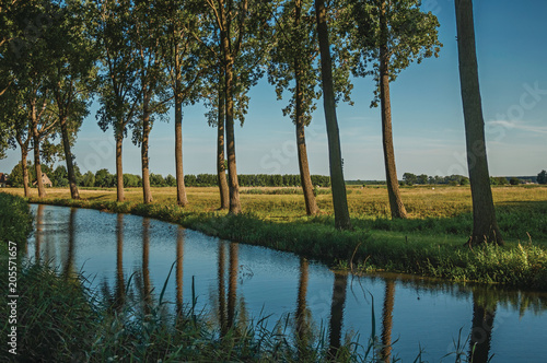 Obraz na plátne Creek in the woods next to cultivated fields at the late afternoon light in the village of Damme