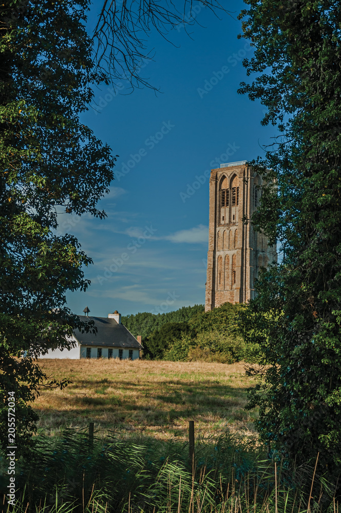 Bell tower, house and trees next to cultivated fields at the late afternoon light in the village of Damme. A quiet and charming countryside old village near Bruges. Northwestern Belgium.