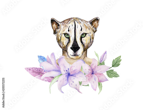 Photography Watercolor wild cats