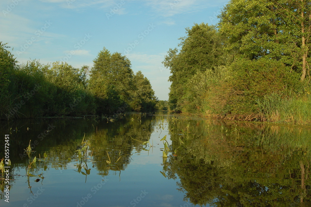 Small river in summer with green trees above the water on the banks in the form of a tunnel – nature, reserve, landscape Small river in summer with green trees above the water on the banks in the form of a tunnel – nature, reserve, landscape