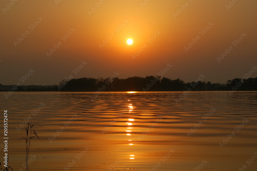 Beautiful amber orange sunset on the river in summer - the sun in a haze is reflected in the water, black forest on the far Bank, evening, cloudless sky Beautiful amber orange sunset on the river in summer - the sun in a haze is reflected in the water, black forest on the far Bank, evening, cloudless sky