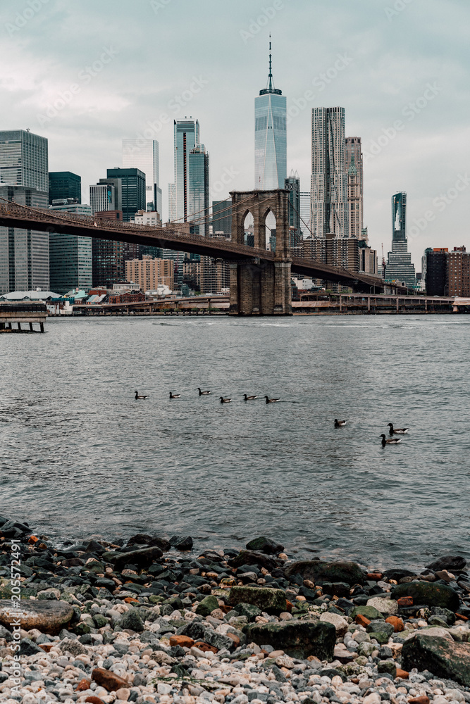 Fototapeta premium Brooklyn Bridge
