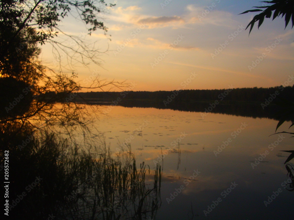 Beautiful amber blue-orange sunset and sun in the clouds with coastal grass in the foreground and trees on the far Bank with reflection in the river in summer against the evening sky.