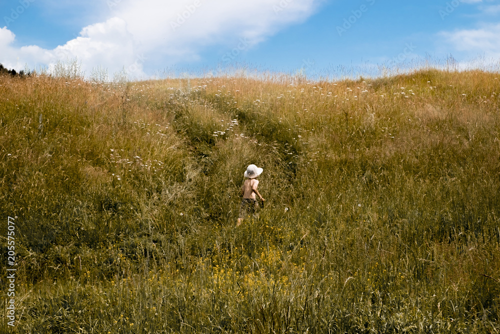 Rear view of boy walking in a grassy field against cloudy sky Rear view of boy walking in a grassy field against cloudy sky