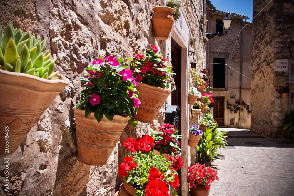 Colourful flowers in terracotta pots on a wall in Valldemossa, Mallorca, Spain