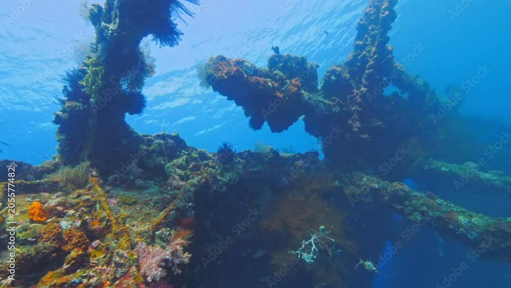 Underwater background ocean environment inside wreck Underwater background ocean environment inside wreck