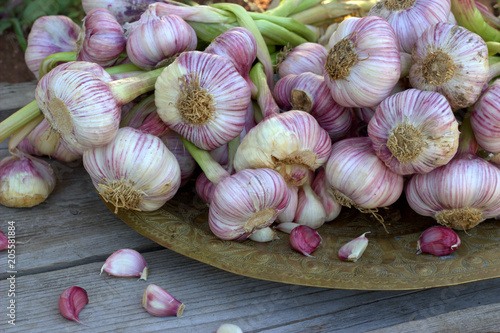 Garlic on a tray. Food background.