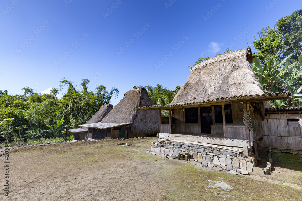 Three tradtional houses in the Luba Tradtional village near Bajawa, Indonesia.