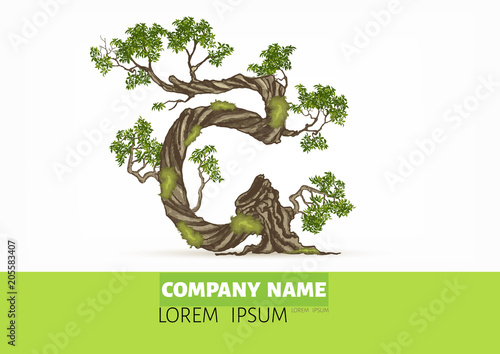 Tree font.Twisted tree  in the shape of letter.Letter A B C vector alphabet with tree. ABC concept type as logo.Eco concept. 