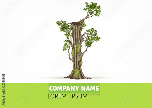 Tree font.Twisted tree  in the shape of letter.Letter A B C vector alphabet with tree. ABC concept type as logo.Eco concept. 