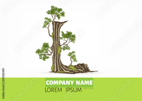 Tree font.Twisted tree  in the shape of letter.Letter A B C vector alphabet with tree. ABC concept type as logo.Eco concept. 