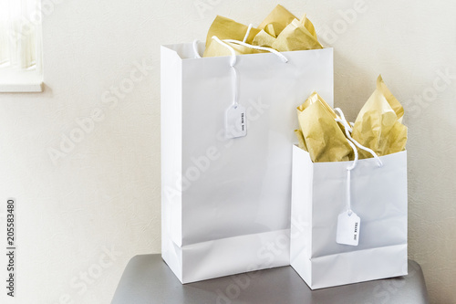 Photography Two large gift bags with thank you note text tags on chair table in room isolate