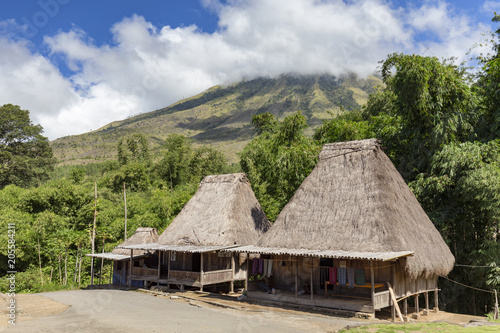 Traditional houses in the Bena village with Mount Inerie in the background on Flores, Indonesia.