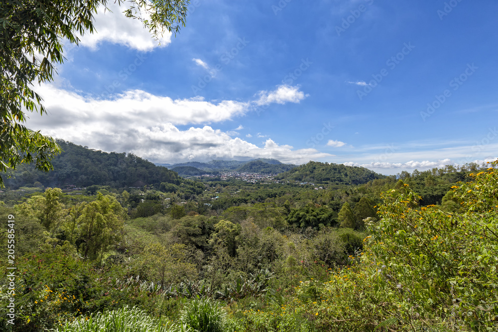 Beautiful view of Bajawa with flowers in the foreground on the island of Flores, Indonesia. Beautiful view of Bajawa with flowers in the foreground on the island of Flores, Indonesia.