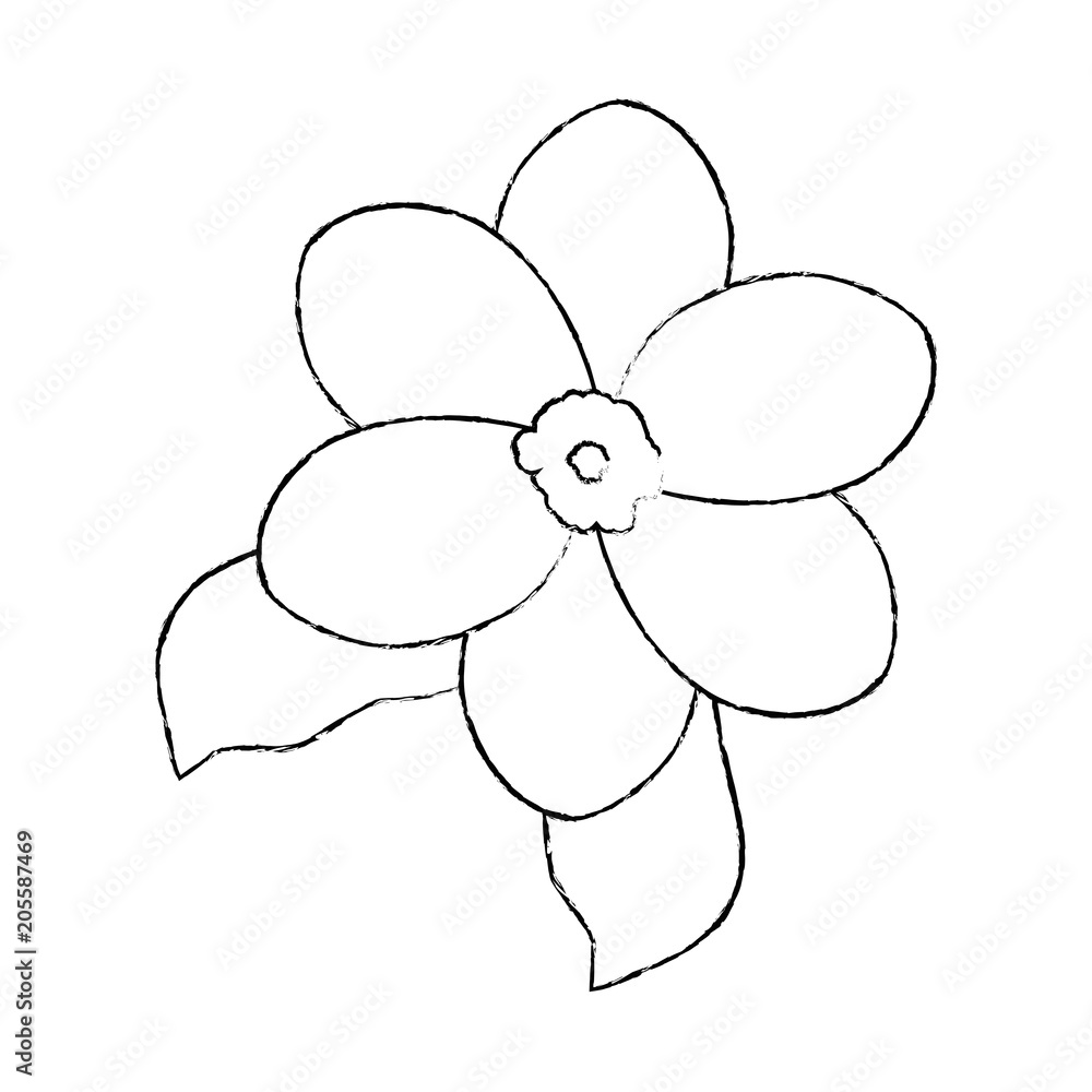 beautiful flower garden icon vector illustration design