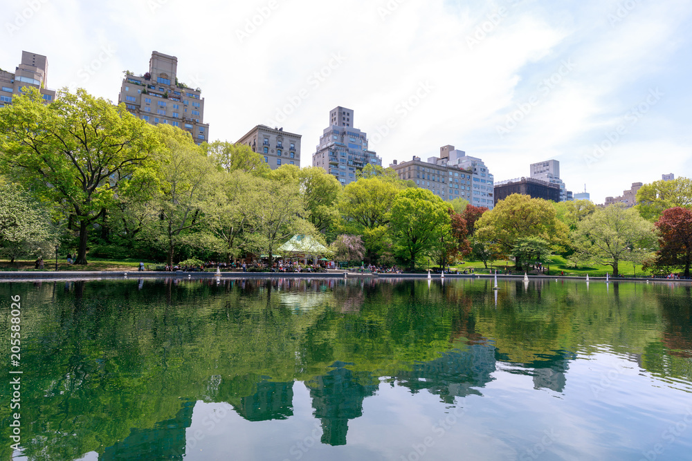 Scenery of Central Park at spring in NYC Scenery of Central Park at spring in NYC
