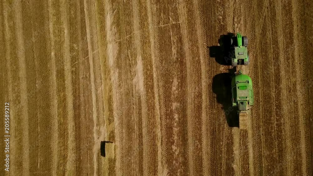 Modern tractor makes haystacks on the field after harvesting. Aerial top motion view. Modern tractor makes haystacks on the field after harvesting. Aerial top motion view.