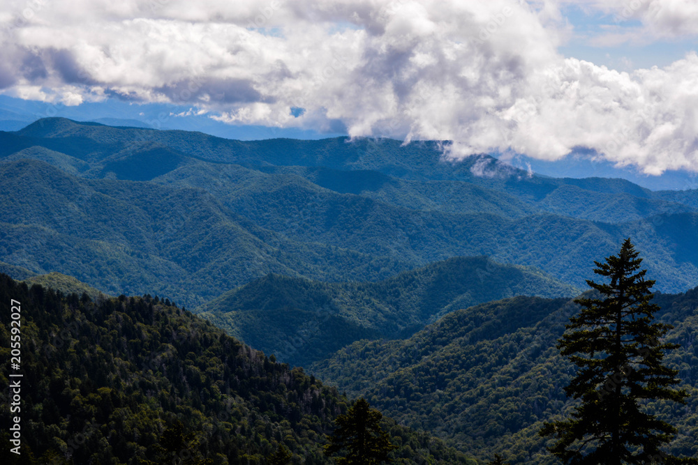 Fototapeta premium Smokey Mountain National Park