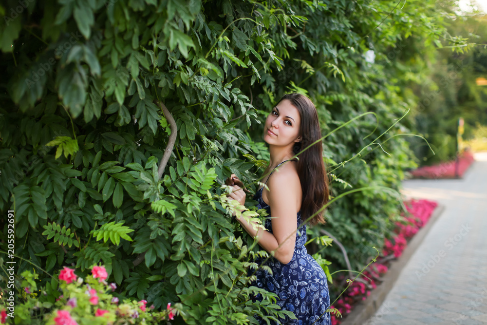 summer portrait of beautyfull lady summer portrait of beautyfull lady