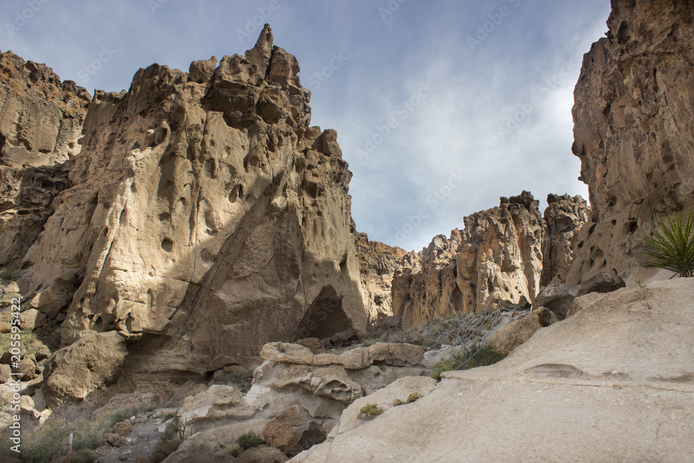 Desert Rock Cliffs