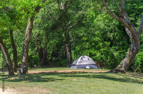 Campsite with tent in beautiful outdoor setting. Spring, summer sunshine and trees. Enjoy the relaxation and adventure of tent camping.