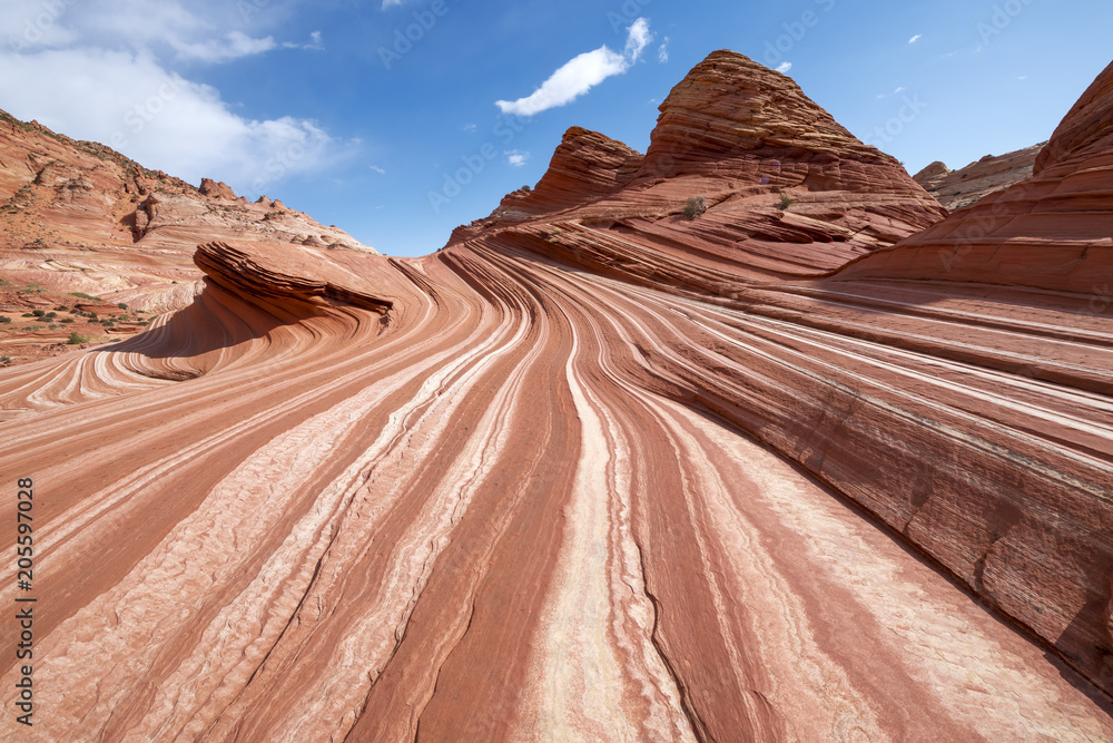 Naklejka premium The Wave