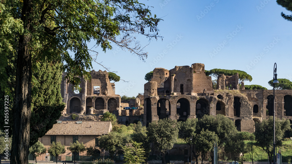 Fototapeta premium Ruins at the back of Palatine Hill, Rome, Italy