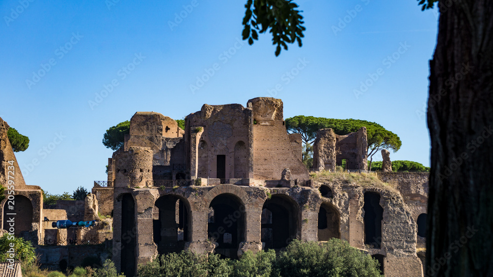 Ruins at the back of Palatine Hill, Rome, Italy