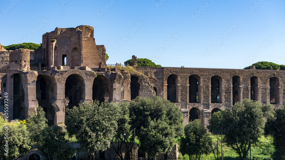 Ruins at the back of Palatine Hill, Rome, Italy