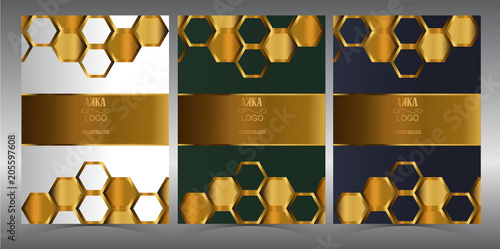 Luxury Premium menu design,Product cover Package, Bag,Financial Annual report for Business brochure layout design template, Flyer Design or Leaflet advertising,  A4 size illustrator 