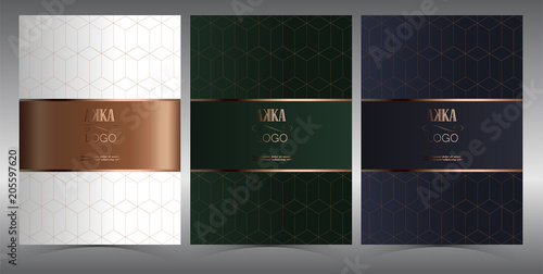 Luxury Premium menu design,Product cover Package, Bag,Financial Annual report for Business brochure layout design template, Flyer Design or Leaflet advertising,  A4 size illustrator 