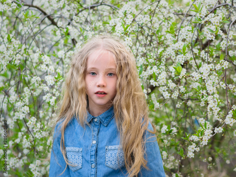 Girl with her hair down in a denim shirt in a cherry blossom garden. Girl with her hair down in a denim shirt in a cherry blossom garden.