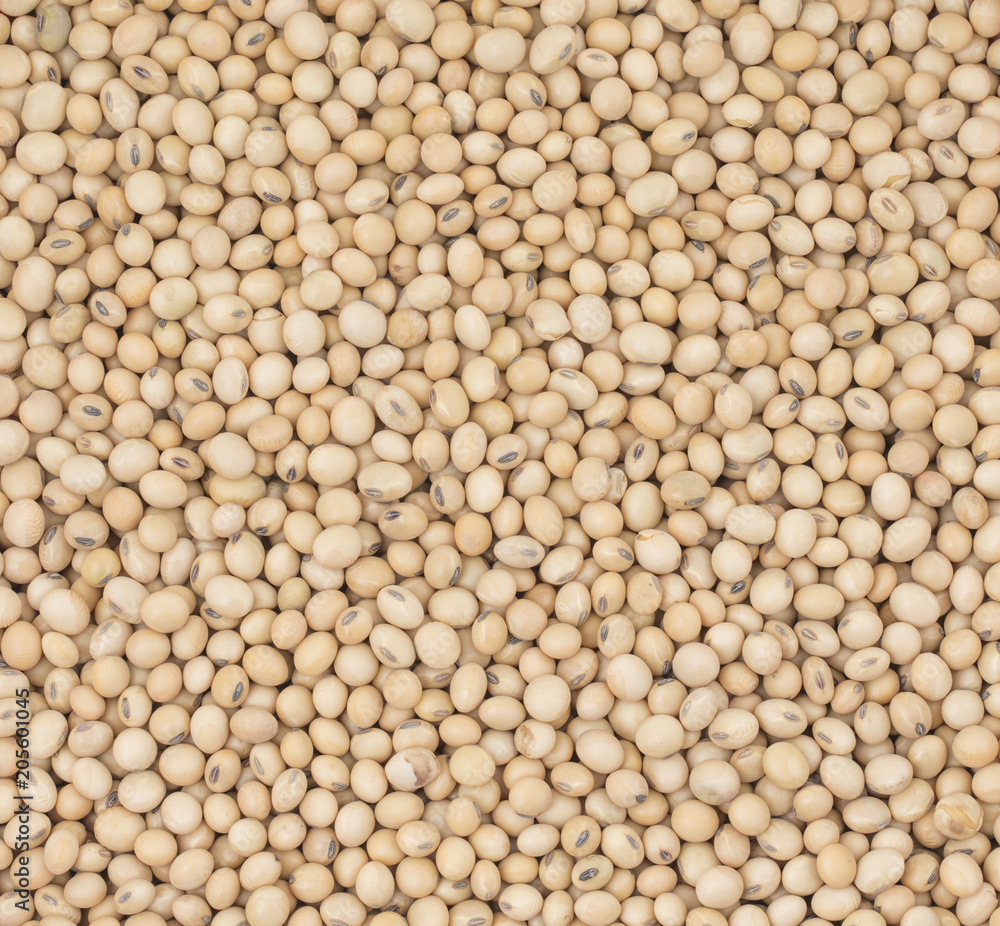 Group of Black Eyed Peas Also Know as Chawli or Chawala Group of Black Eyed Peas Also Know as Chawli or Chawala