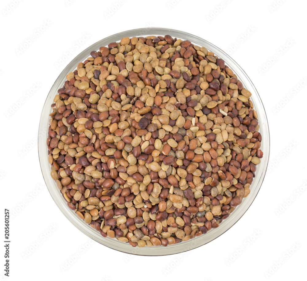Red Lentil Seeds Isolated on White Background Red Lentil Seeds Isolated on White Background