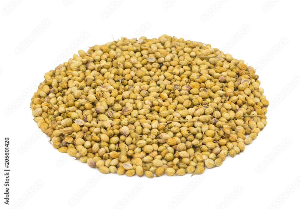 Heap of Dried Coriander Seeds or Dhaniya isolated on White Background Heap of Dried Coriander Seeds or Dhaniya isolated on White Background