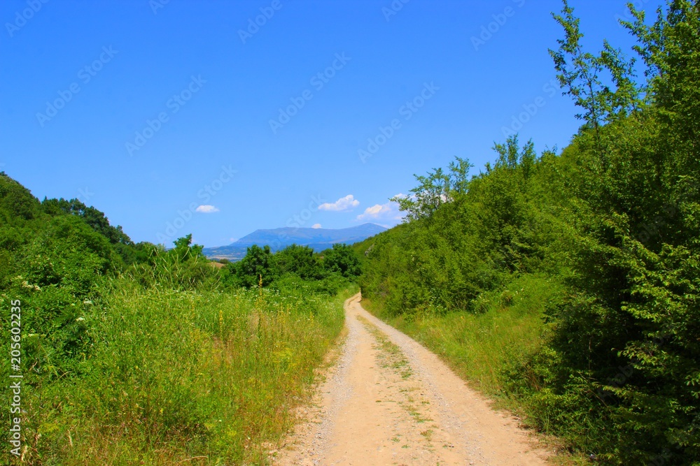 a dirt road through meadows and forests in the background mountains stand out from the blue sky.