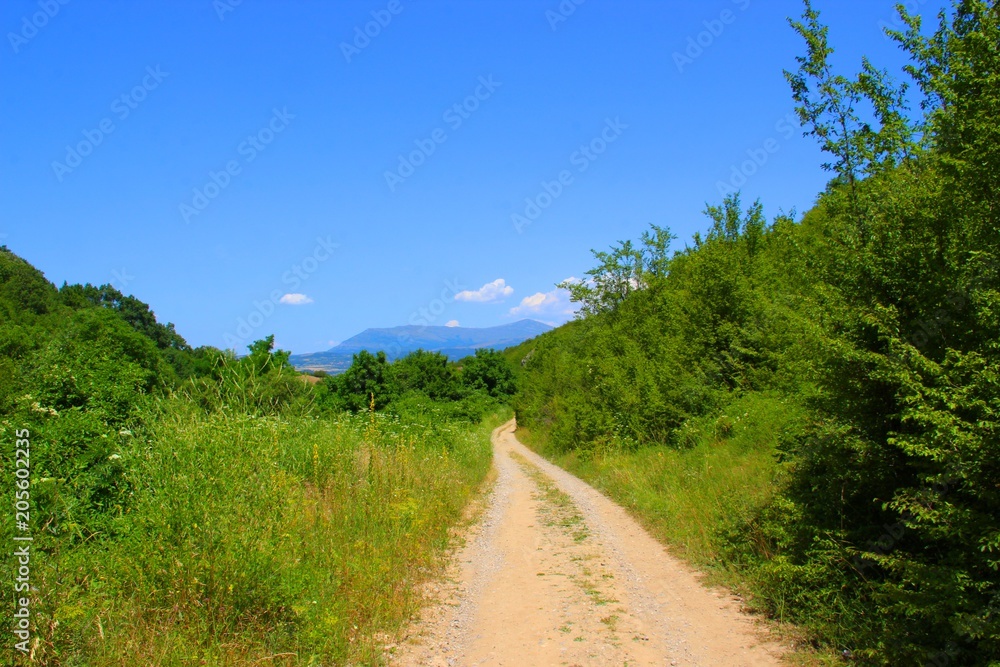 a dirt road through meadows and forests in the background mountains stand out from the blue sky. a dirt road through meadows and forests in the background mountains stand out from the blue sky.