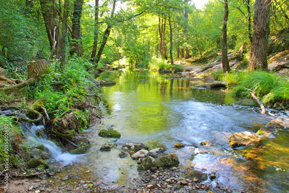 A small waterfall in the middle of a green dense forest running into a small river A small waterfall in the middle of a green dense forest running into a small river
